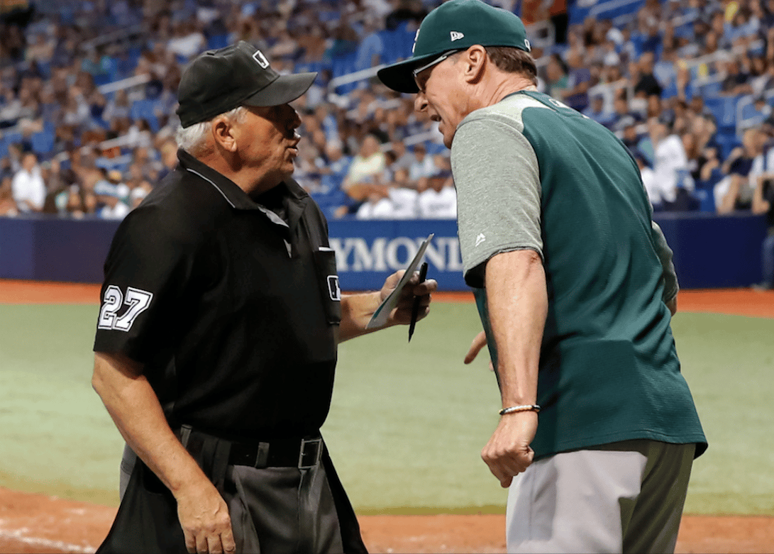 2014: Video replay expands