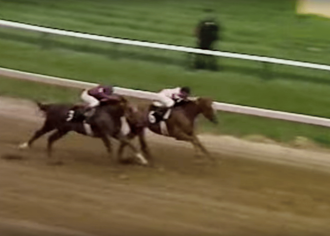 1978: AFFIRMED OUTDUELS ALYDAR AGAIN IN THE PREAKNESS i