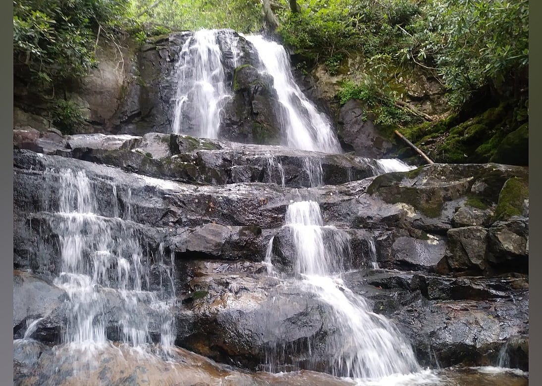 #28. Laurel Falls Trailhead