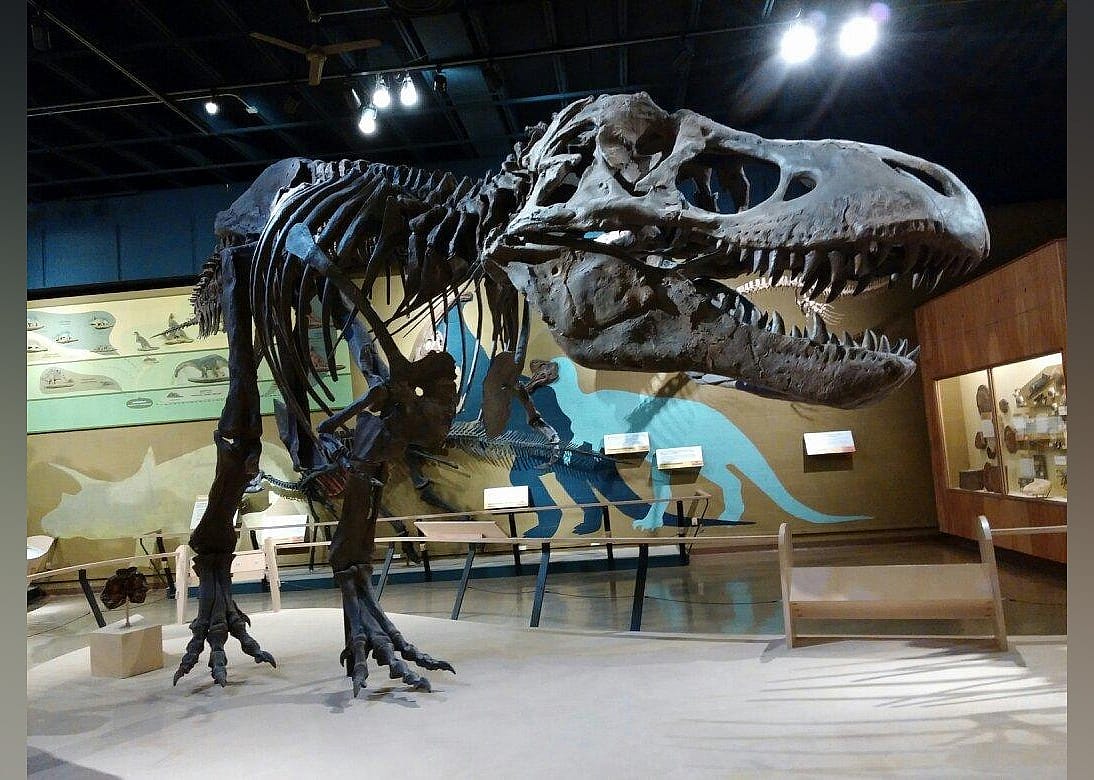 #19. Cleveland Museum of Natural History