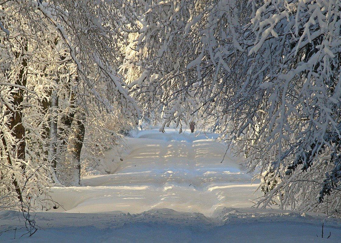 #50. Concord, New Hampshire