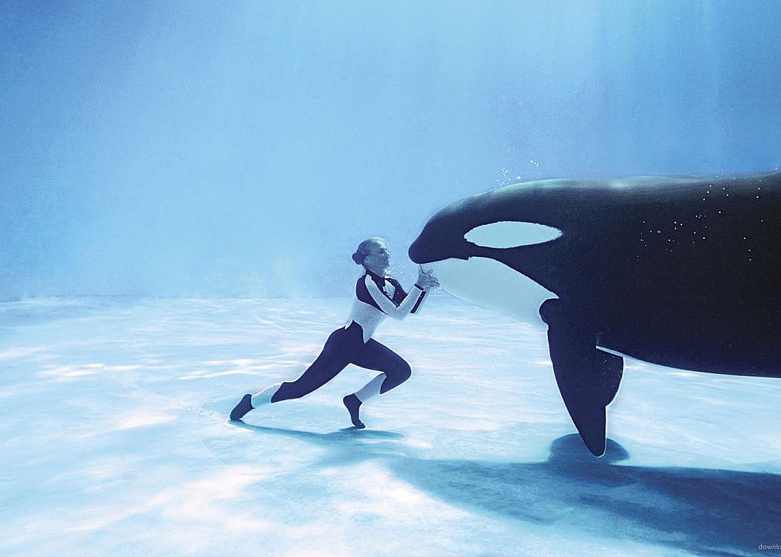 #41. Blackfish (2013)