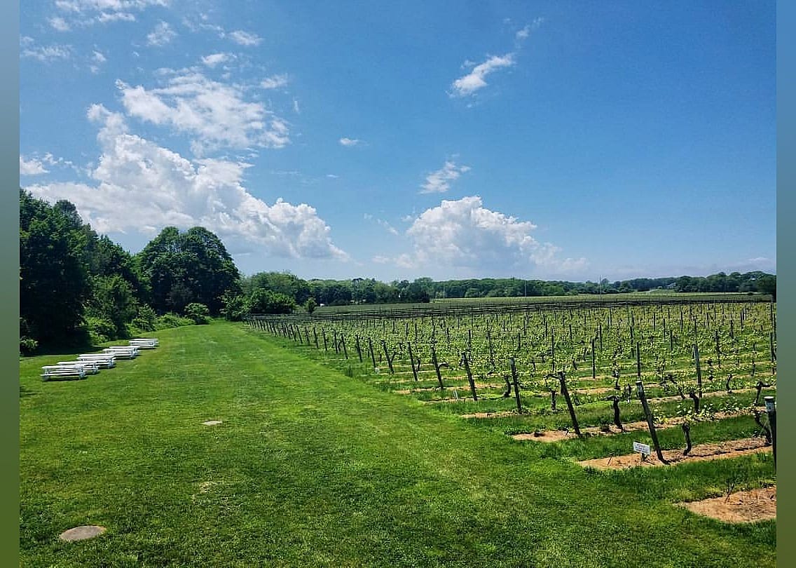 #14. Bedell Cellars
