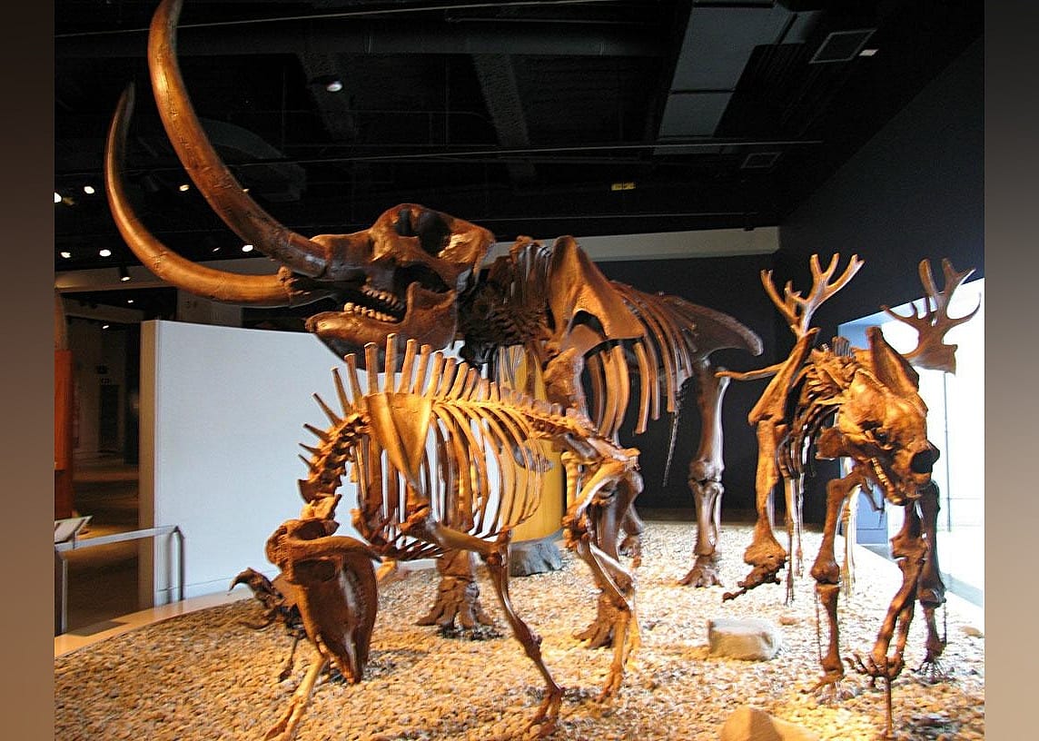 #6. Indiana State Museum