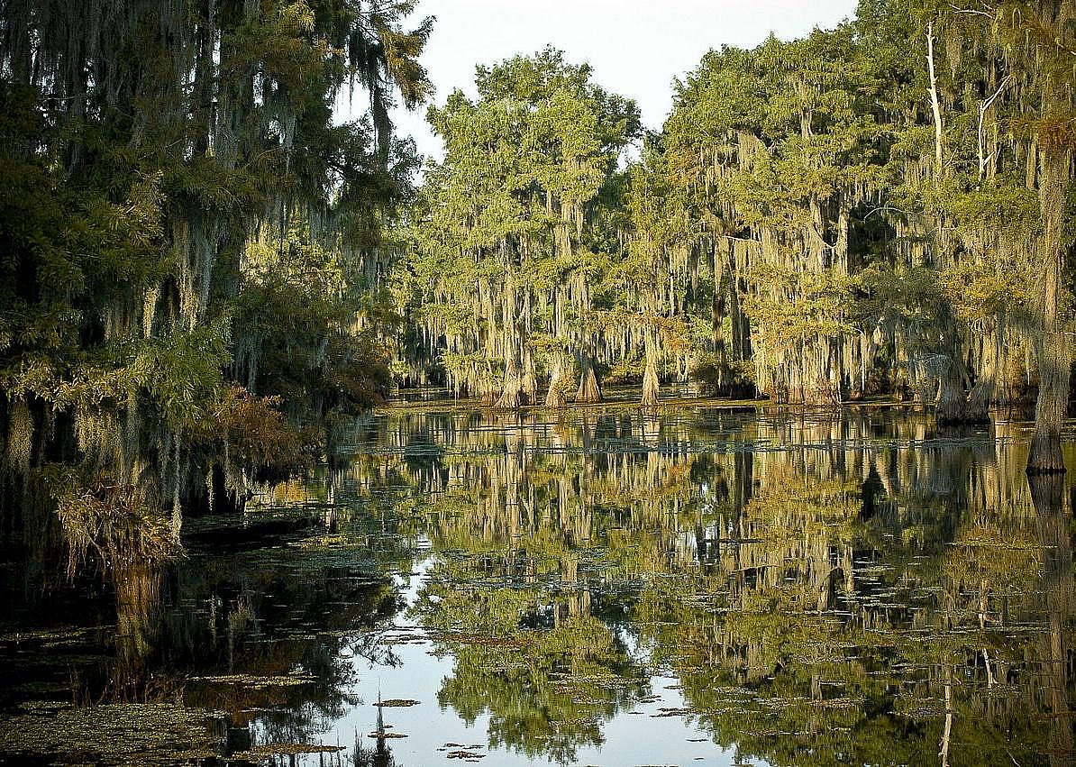 #18. Louisiana