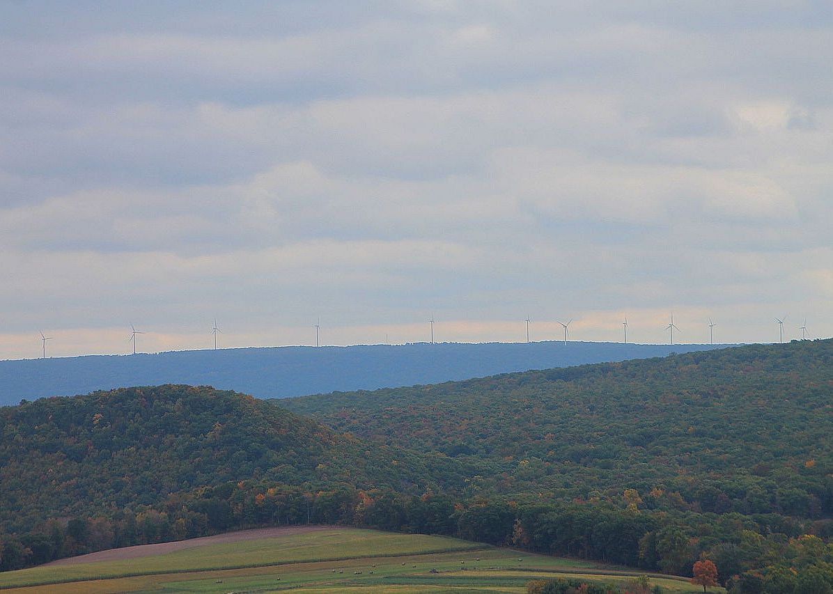 #43. Schuylkill County