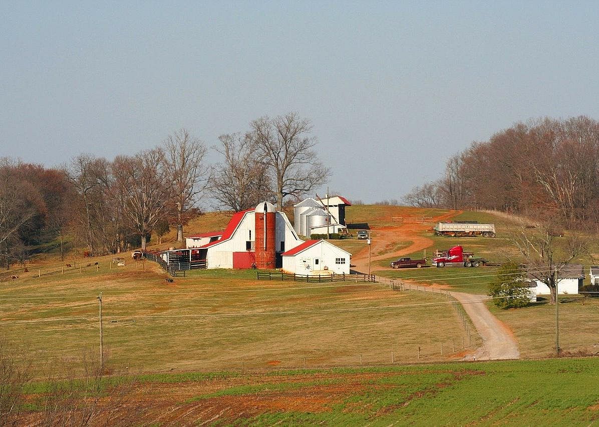 #17. Tennessee