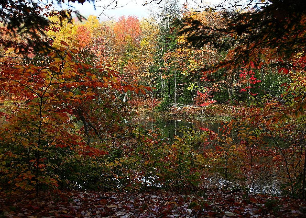 #3. West Virginia