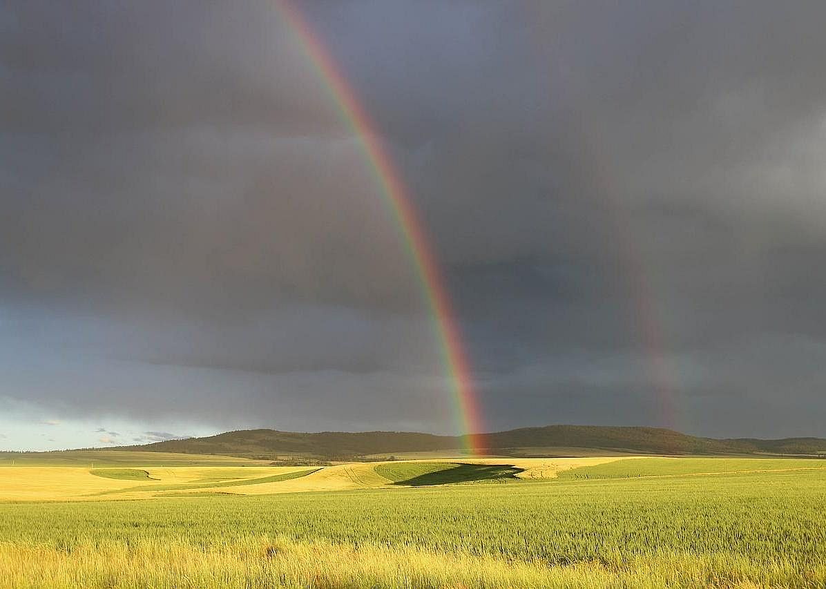 #45. Idaho