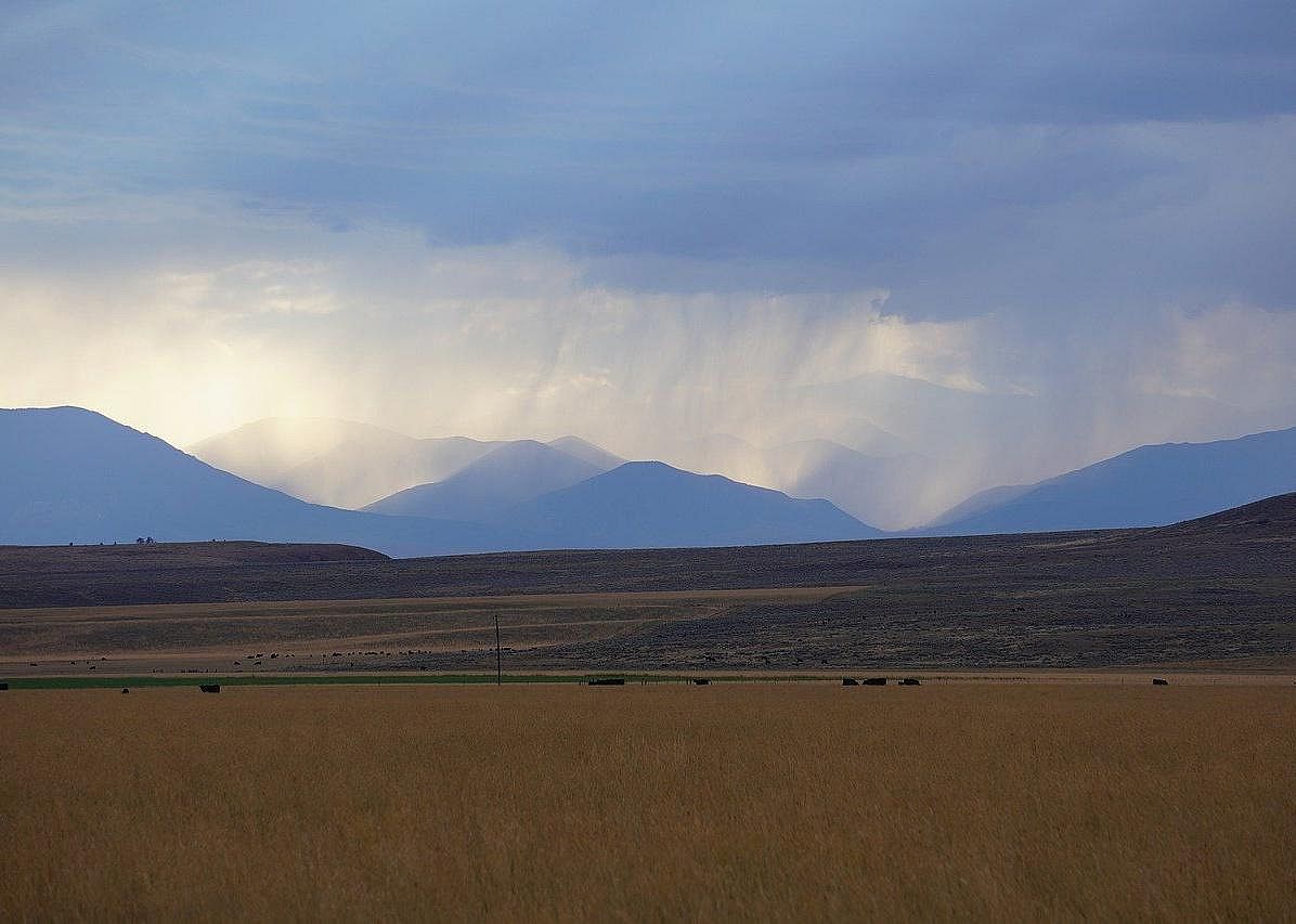 #40. Montana
