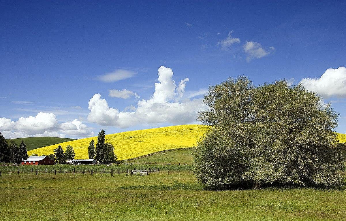 #32. Idaho