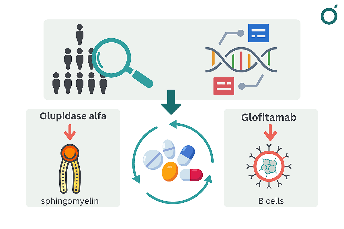 Graphic showing “How researchers used ‘multi-omics’ to discover potential drugs to repurpose for Hashimoto’s”.