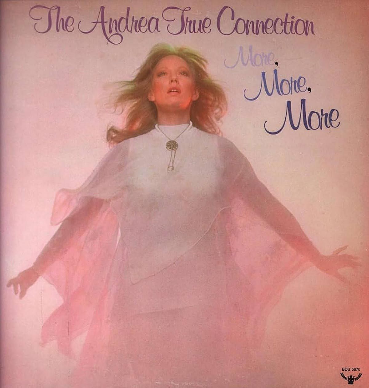 Cover for the single More, More, More by the Andrea True Connection