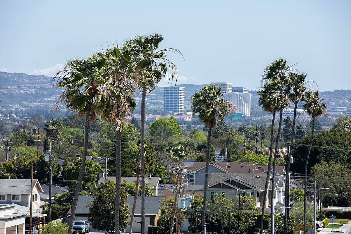 Palm framed view of downtown Costa Mesa, California, USA.