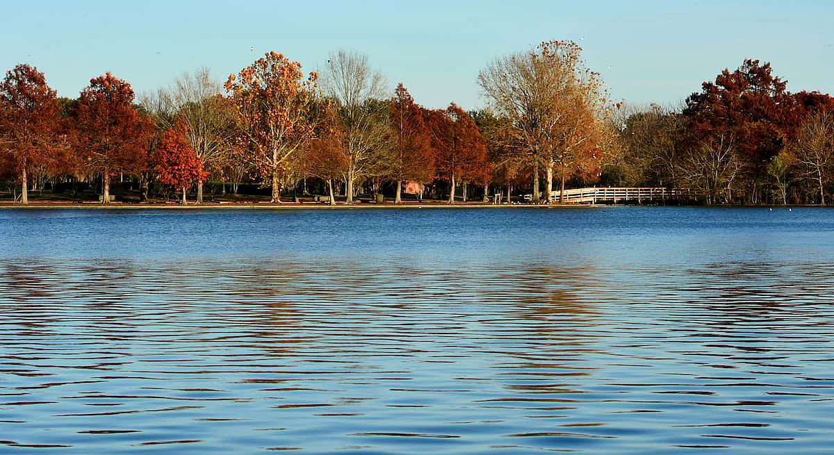 A beautiful scenic view across a serene blue lake, with fall colored trees and foliage on the far shoreline, located in Lafreniere Park in Metairie, Louisiana.