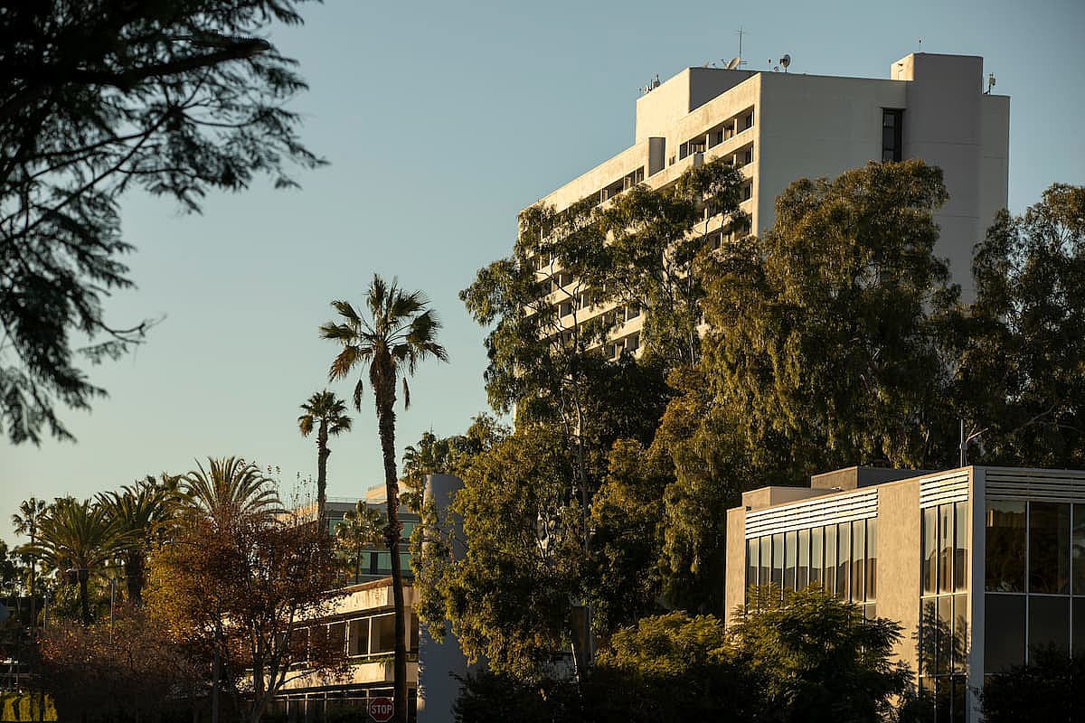 Palm framed view of the downtown skyline of Torrance, California, USA.