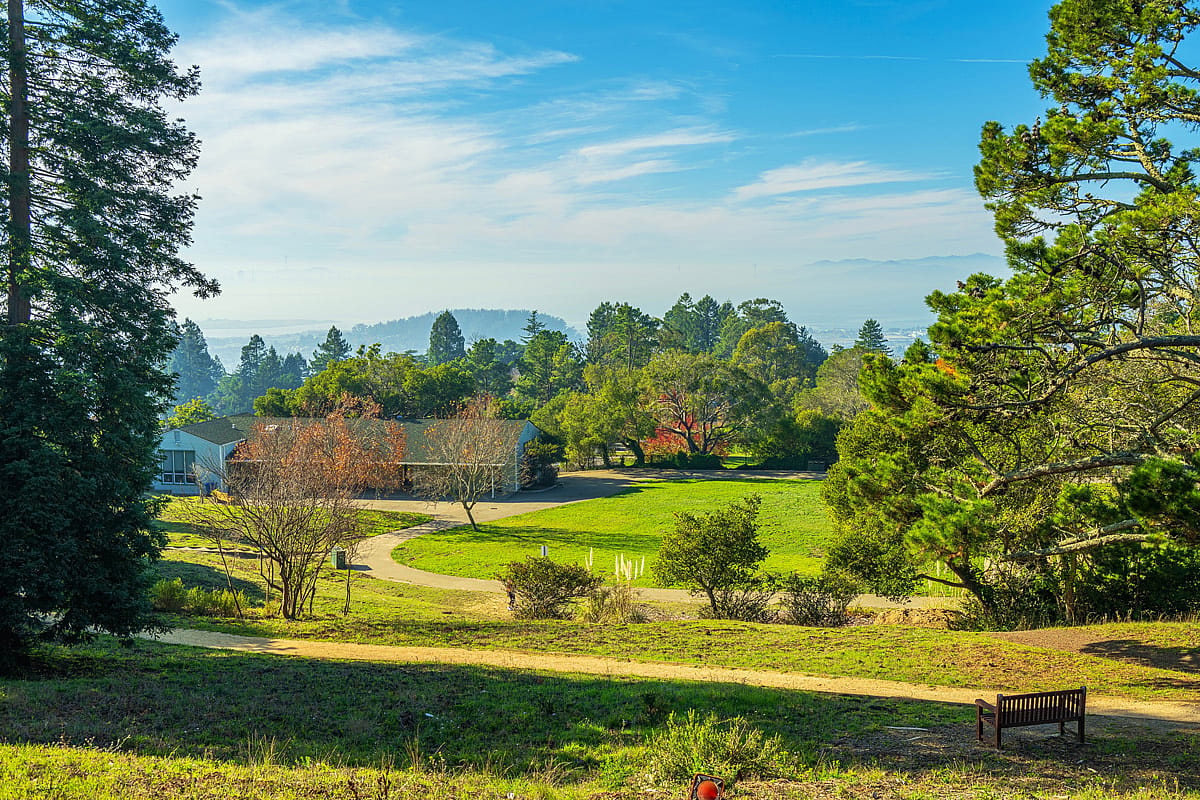 A view of a park in Berkeley California