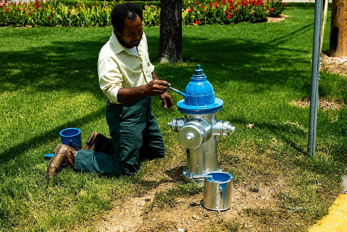 In Denton, a man is paiting with blue a fire hydrant.