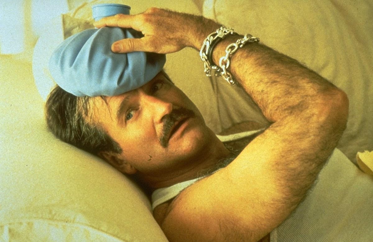 Robin Williams in The Birdcage