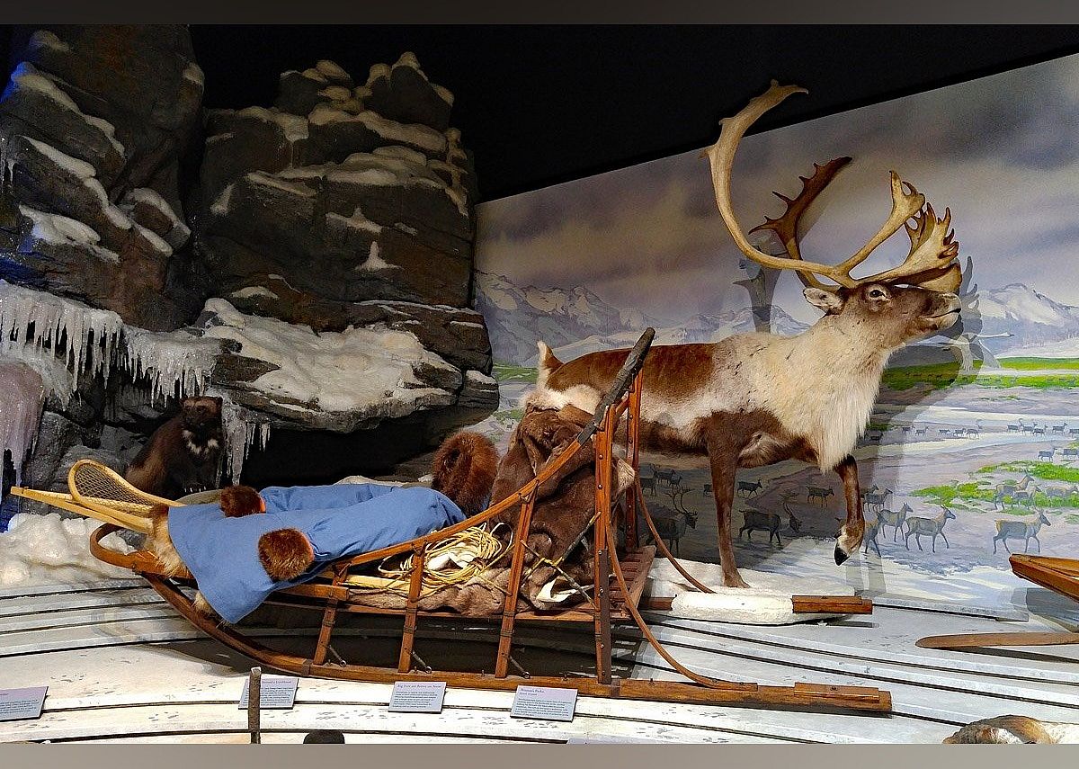 #28. Northwest Arctic Heritage Center