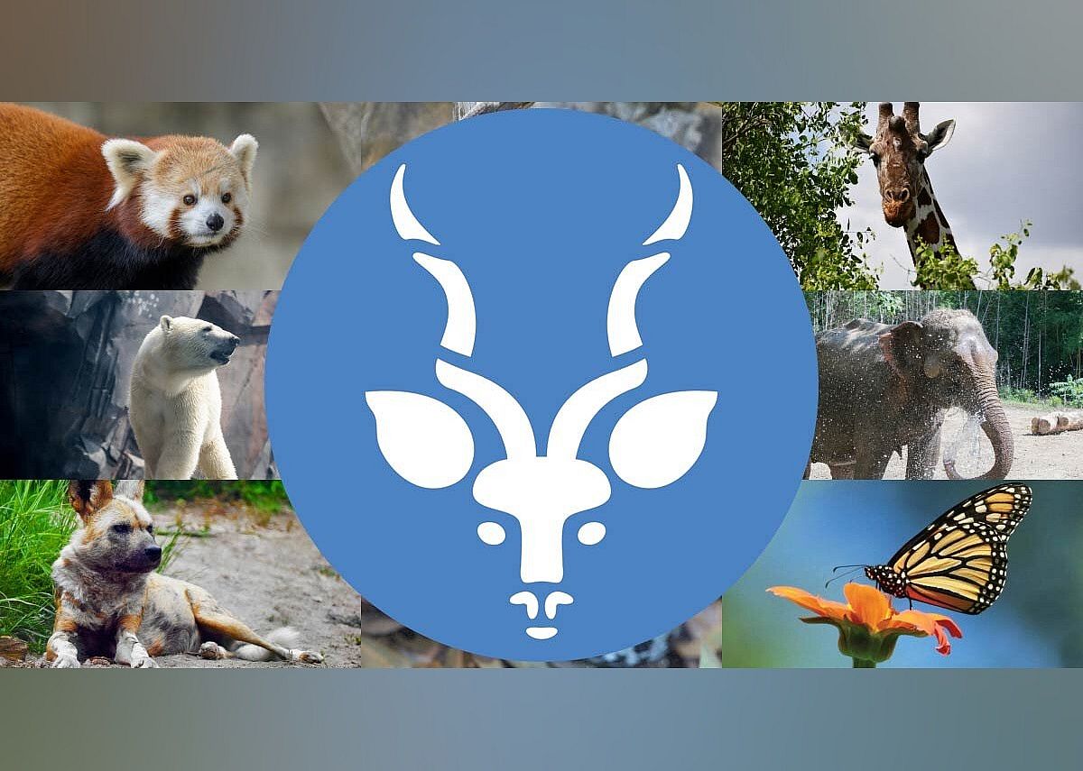 #1. St. Louis Zoo