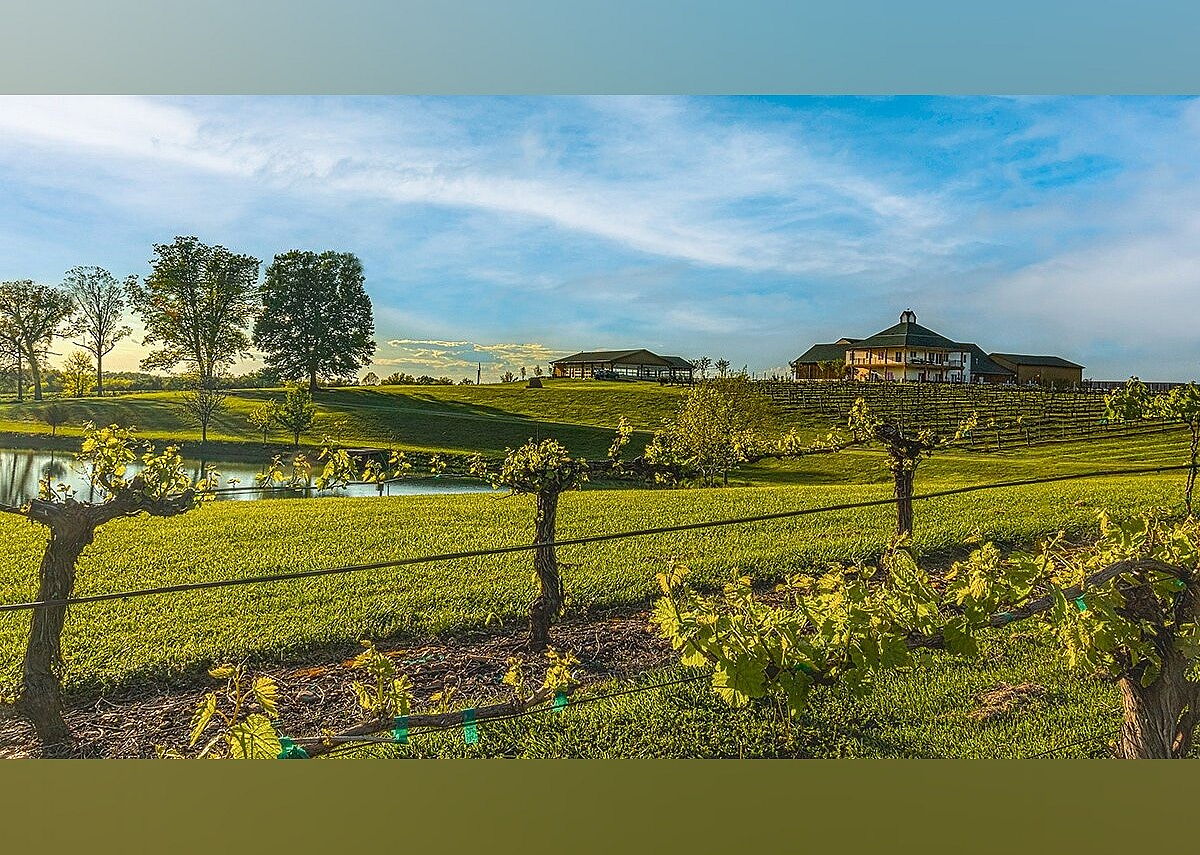#12. Rayson Winery and Vineyards