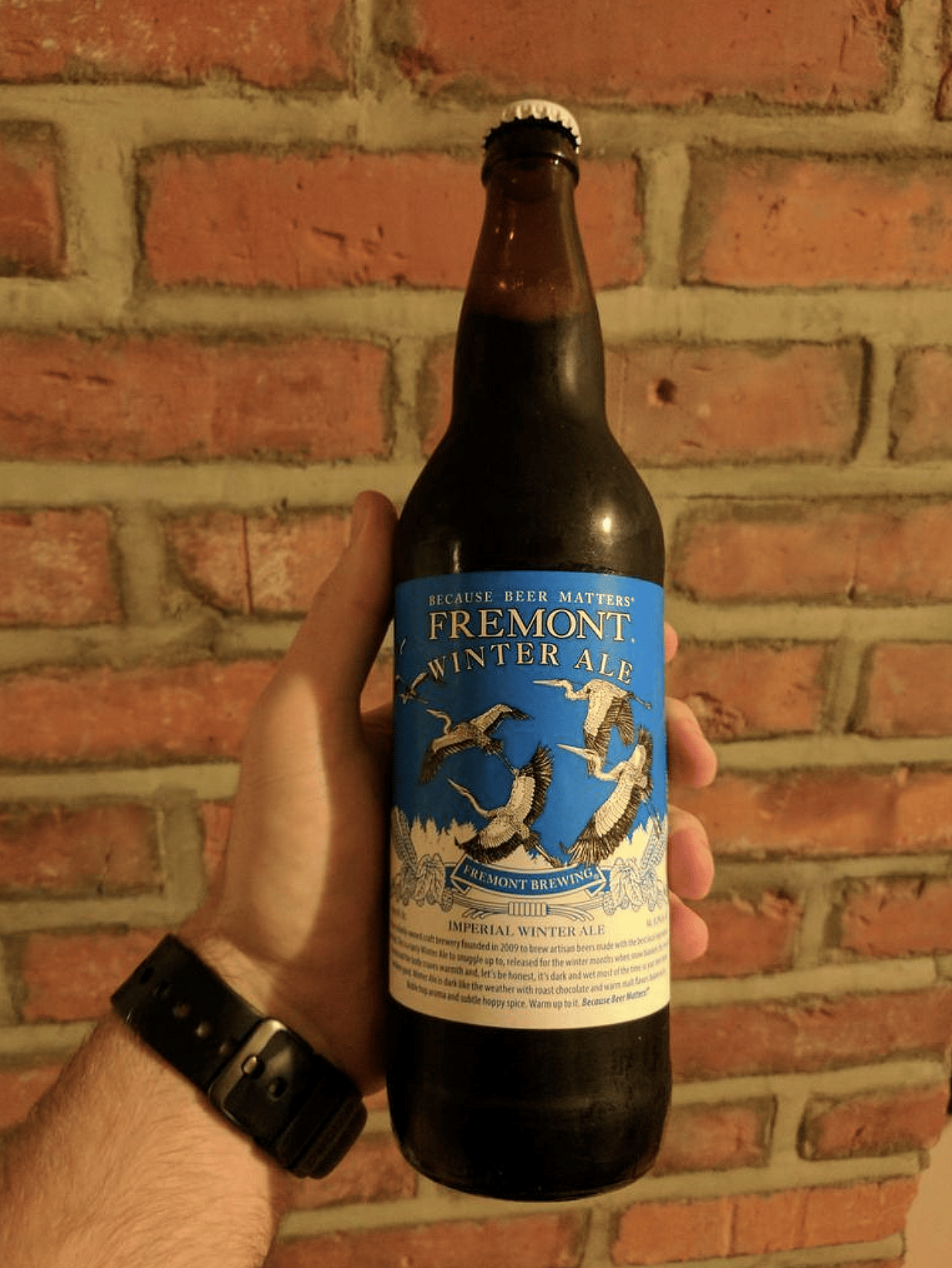 #31. Winter Ale