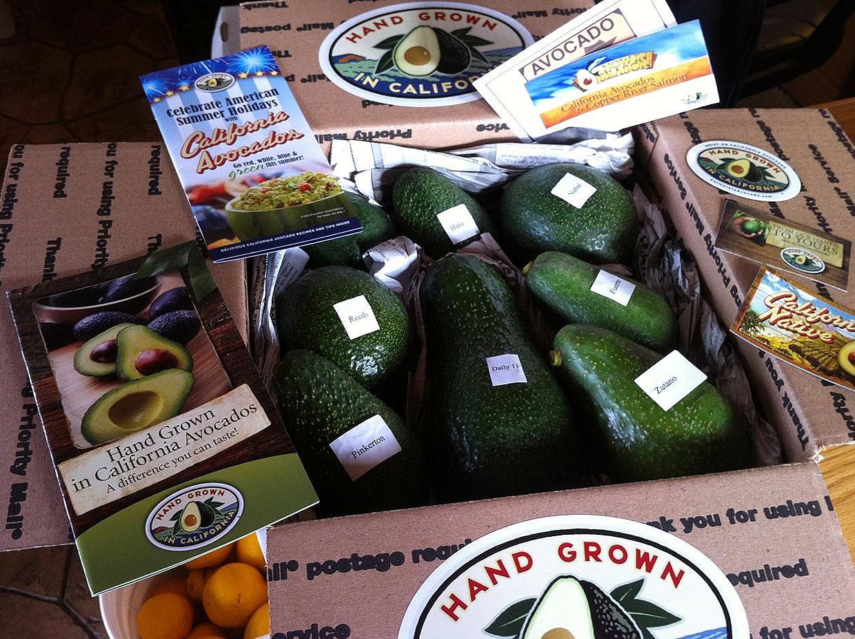 Avocado Monthly