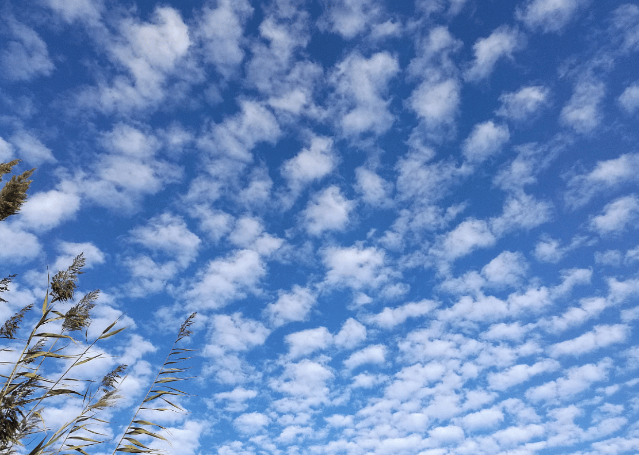 Cloud type #2