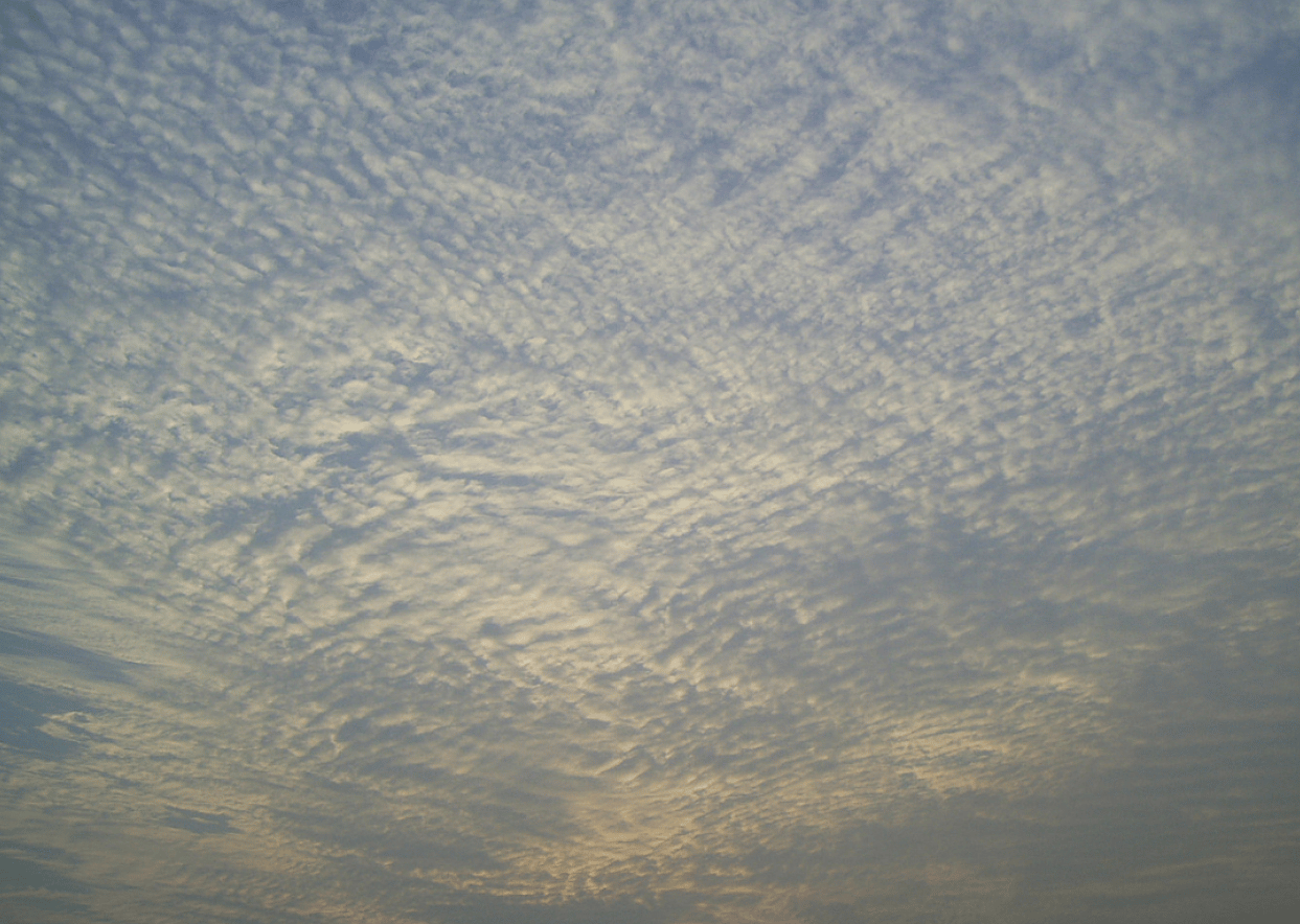 Cirrocumulus