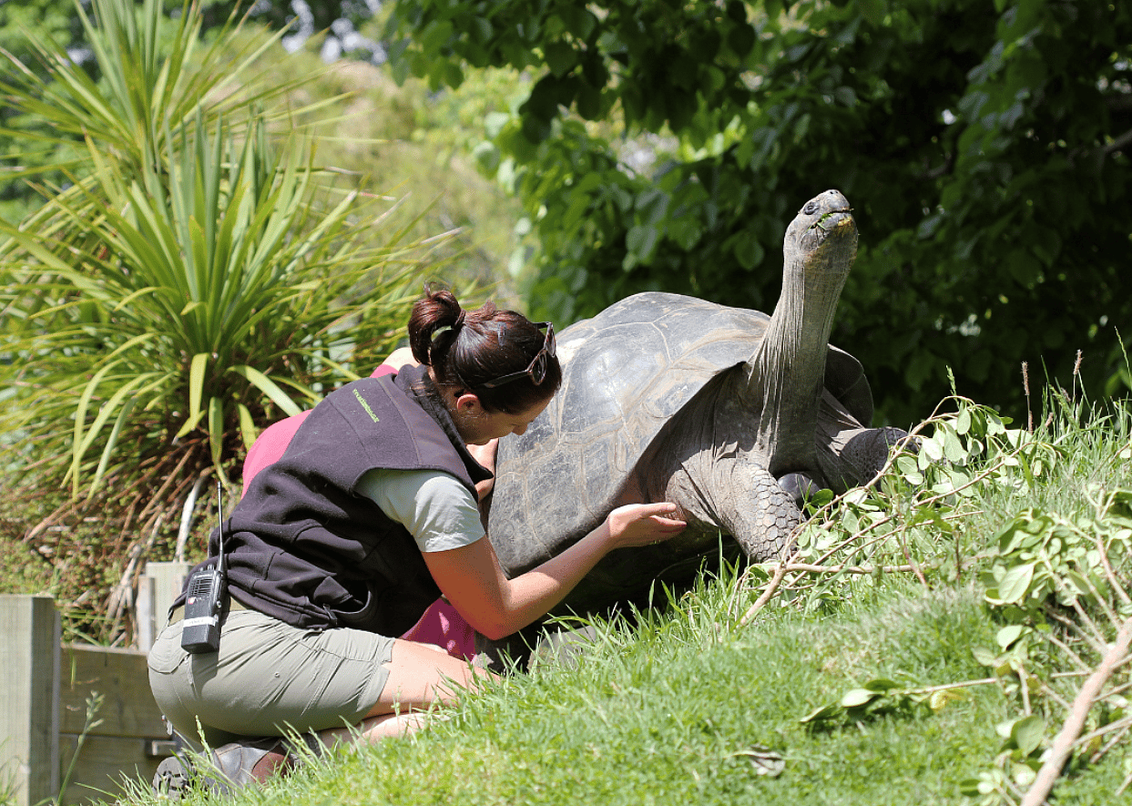 Zookeeper