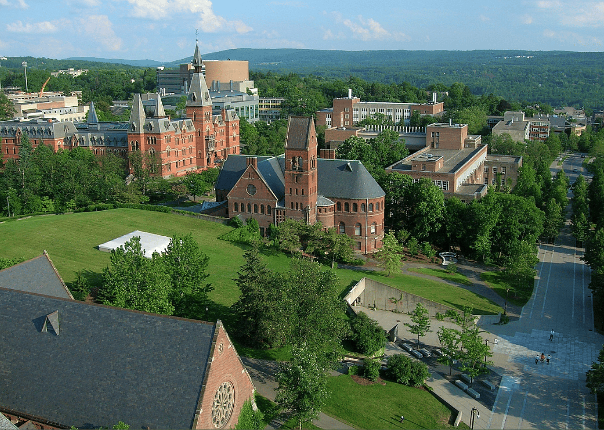 #17. Cornell University