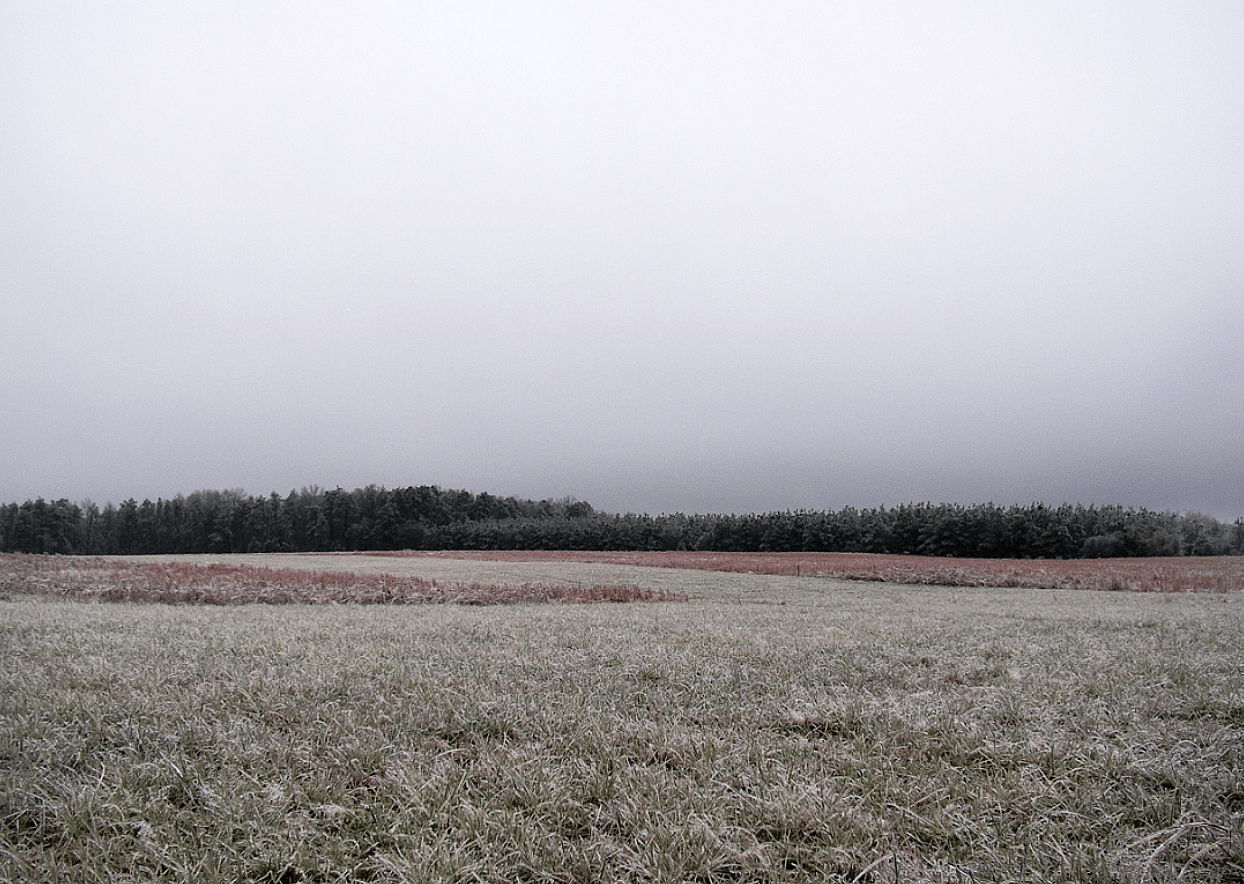 Cloud type #4
