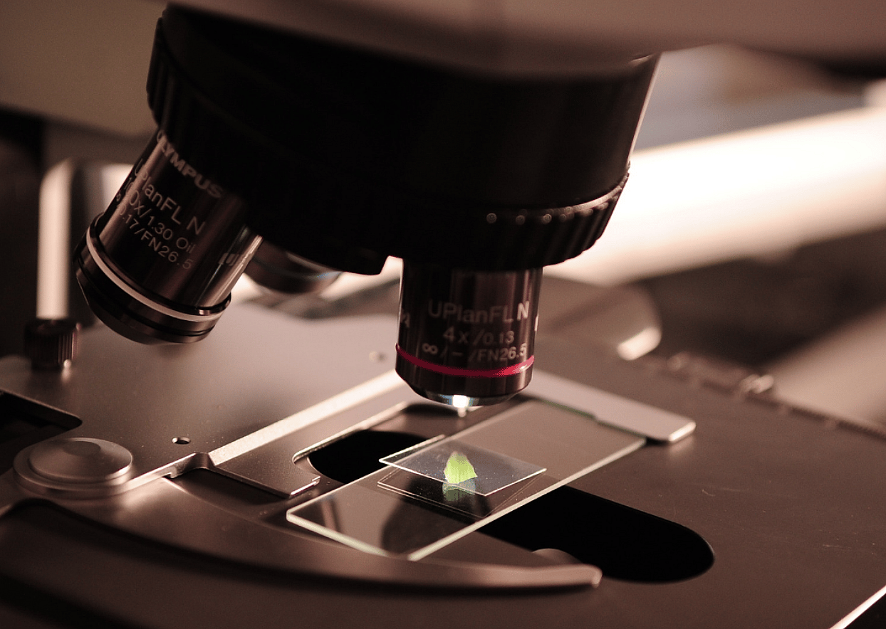 #93. Microbiology