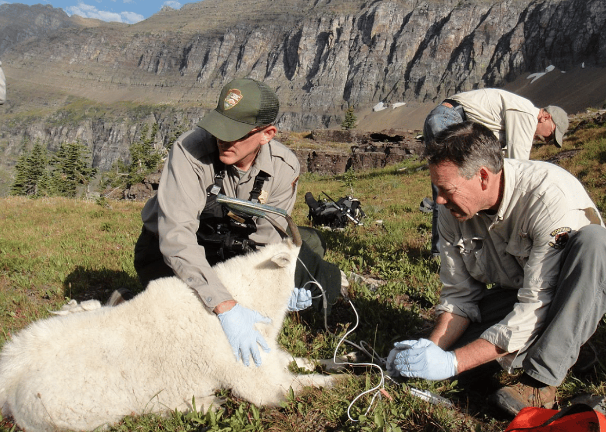 #79. Natural resources management