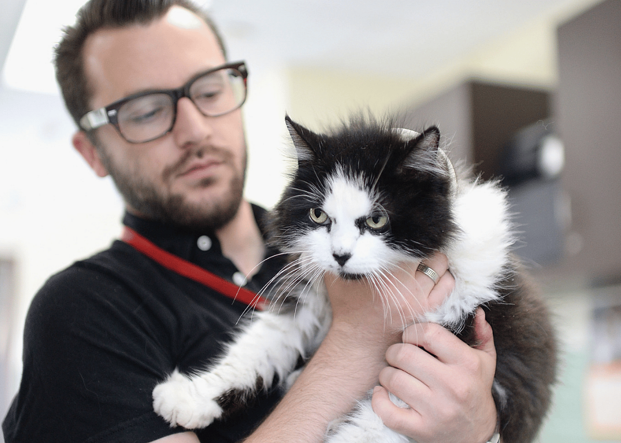Animal shelter manager