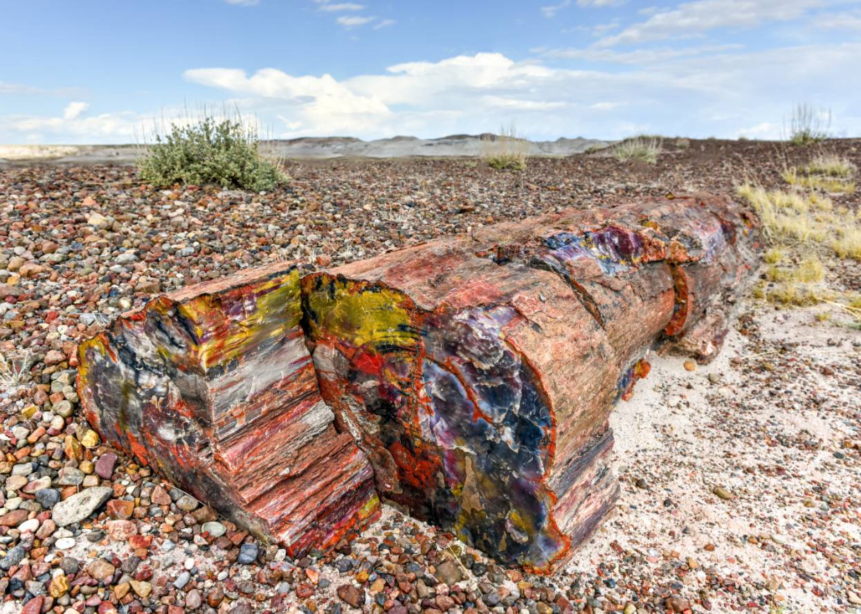 #32. Petrified Forest National Park (Arizona)