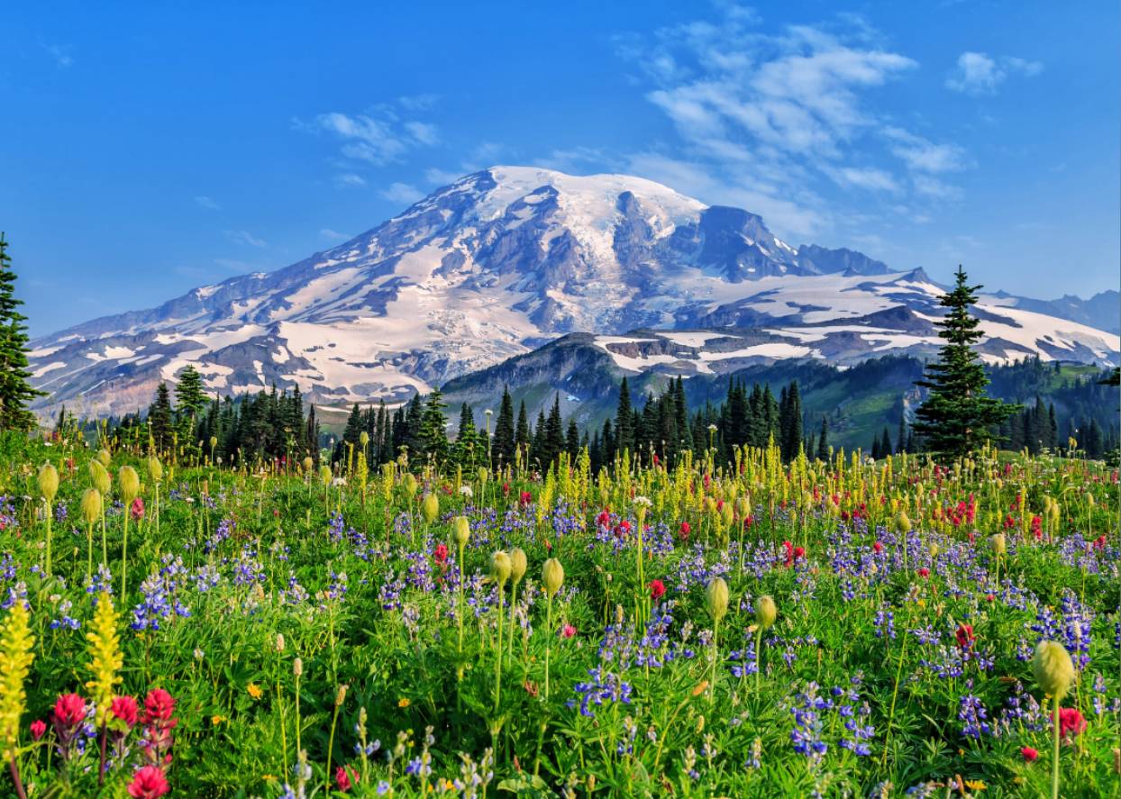 #45. Mount Rainier National Park (Washington)
