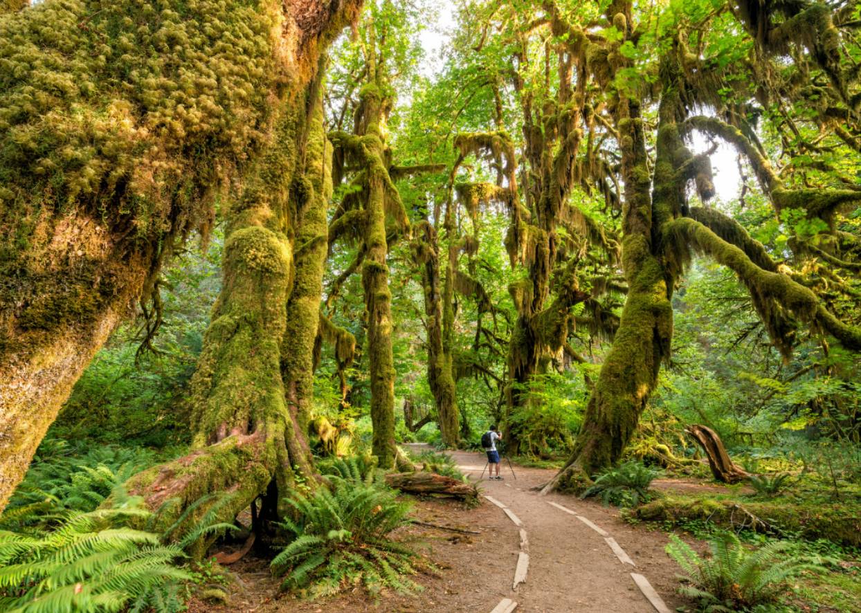 #49. Olympic National Park (Washington)