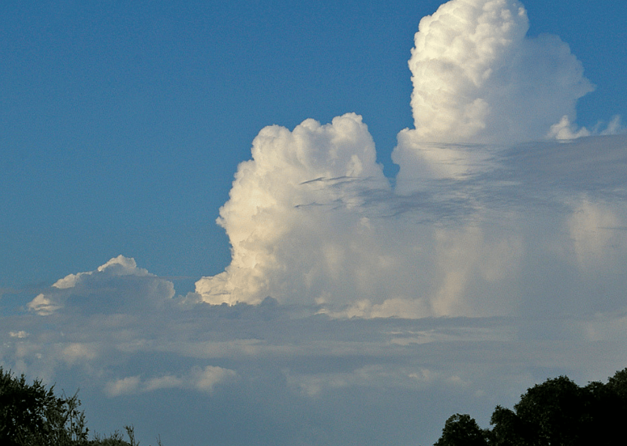 Cumulus