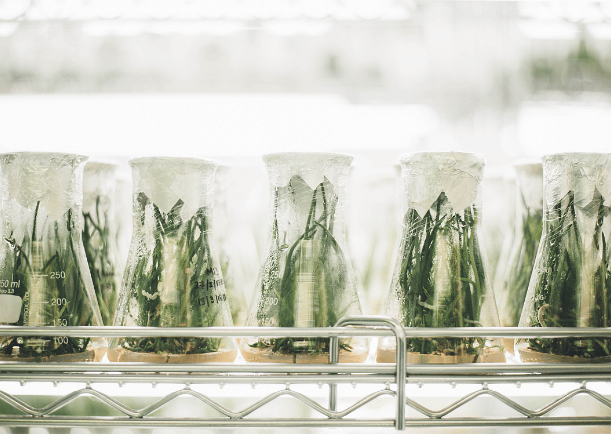 #83. Plant science and agronomy