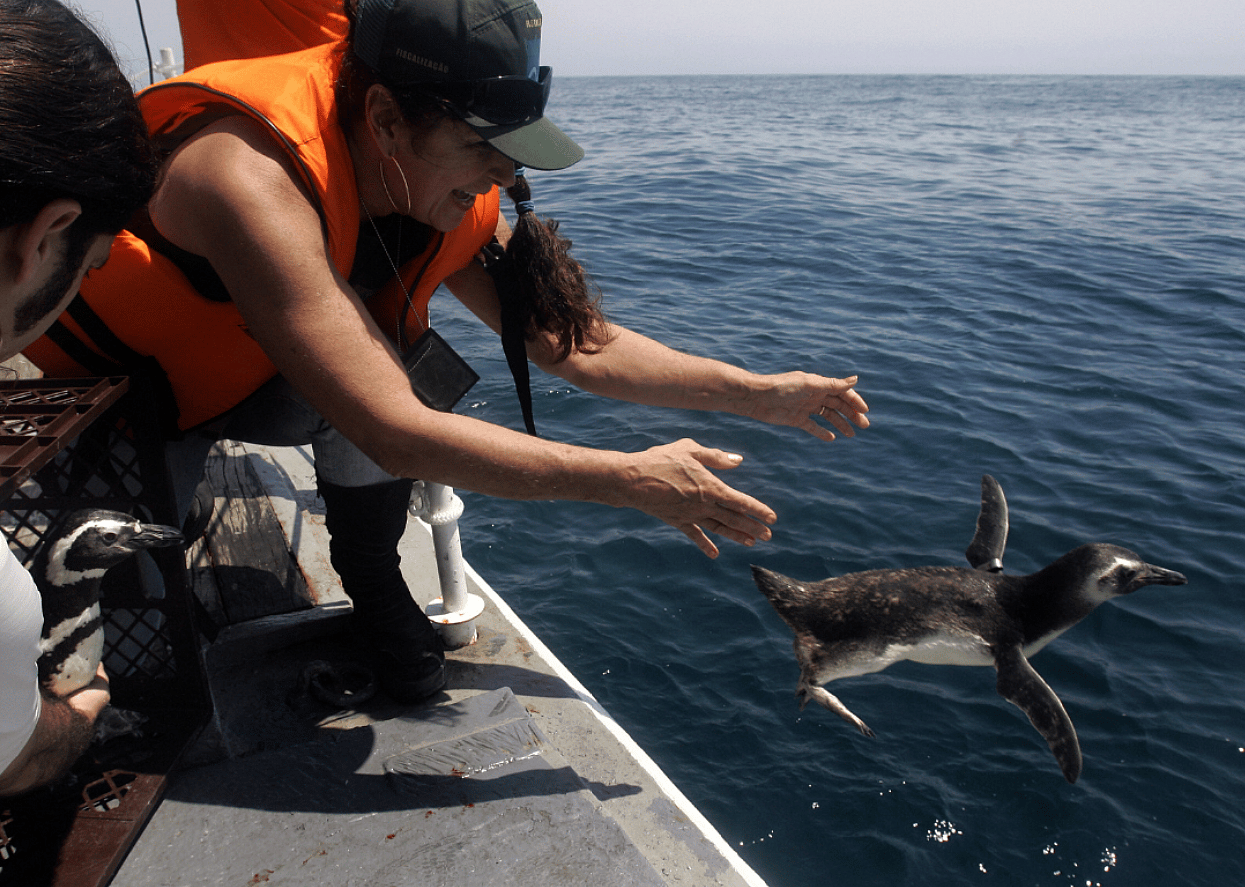 Marine biologist