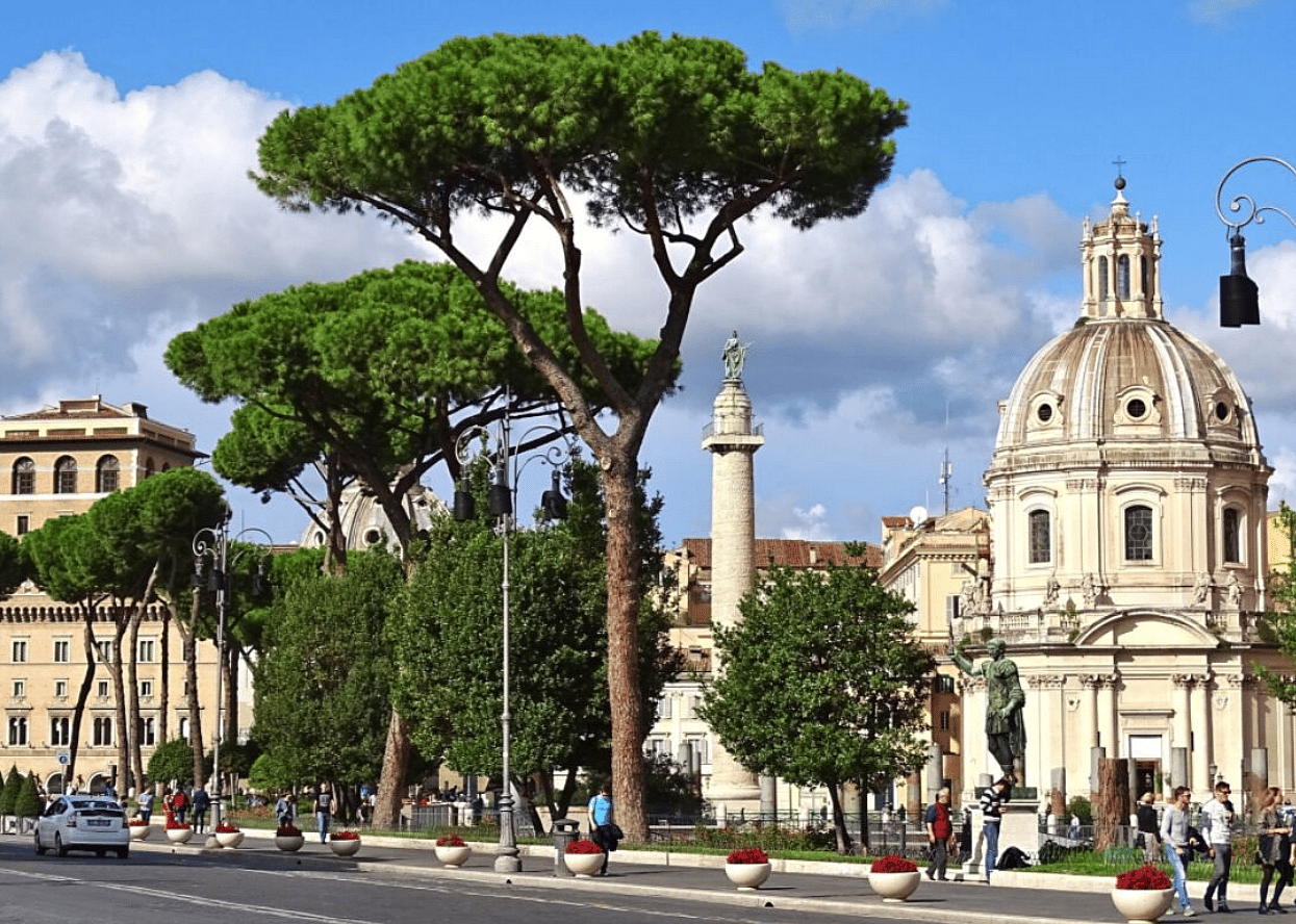 #71. Rome, Italy