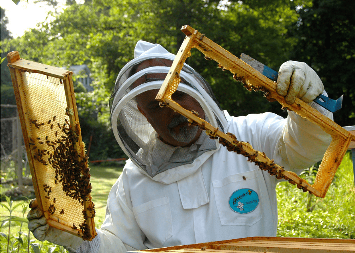 Apiarist