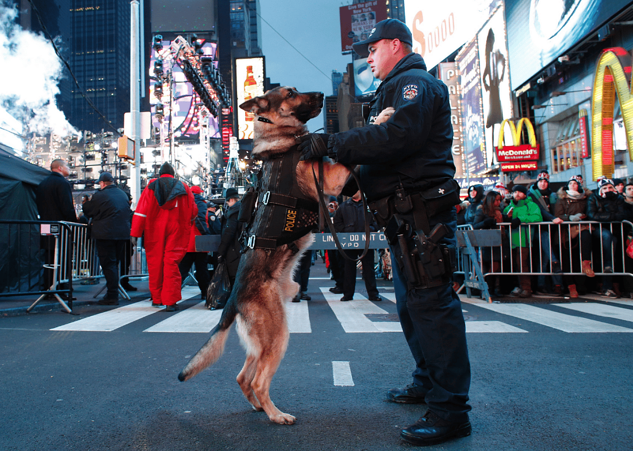K9 officer