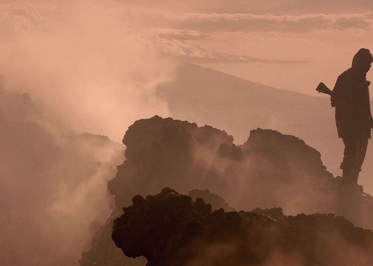 #2. Virunga (2014)
