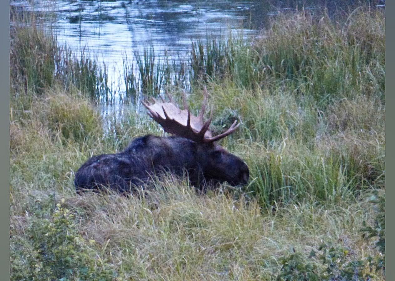 #9. Moose Wilson Road