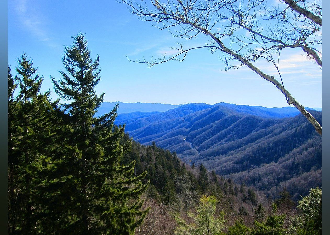 #7. Newfound Gap