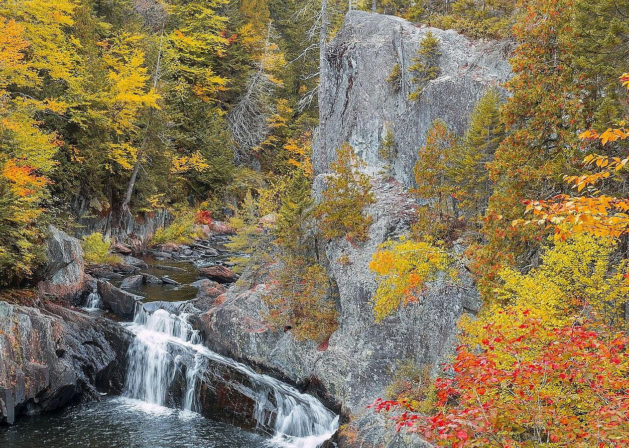 #1. Maine