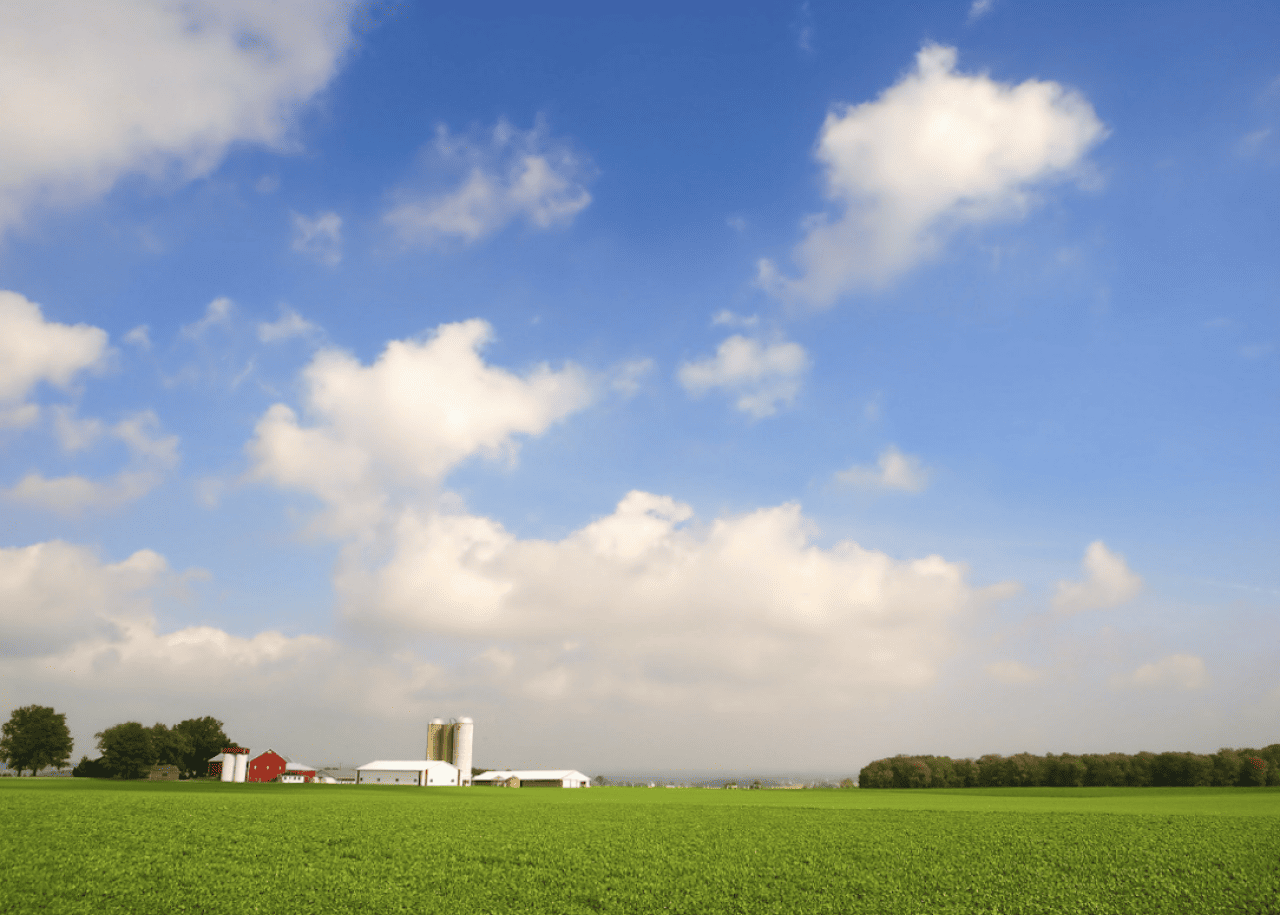 Sunny farm landscape
